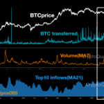 Bitcoin Whale Exchange Inflows Still At Highest Ever Level, Will Recovery To $22k Be Lost?