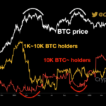 On-Chain Data: Bitcoin Whales With 10k+ BTC Have Been Growing