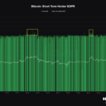 Bitcoin Declines Slightly As Short-Term Holders Take Profits