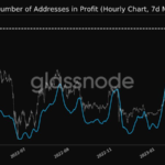 Number Of Ethereum Addresses In Profit Hits 10-Month High As ETH Continues Rally