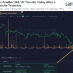 Polygon (MATIC) Down By 7% Amidst Massive Whale Activity