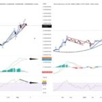 Check Out This Shocking Pepe Coin Versus Bitcoin Comparison