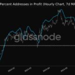 Percentage Of ETH Addresses In Profit Reaches 5-Month Low