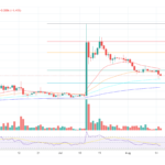 Ripple Vs. SEC: Torres Receives Motion By Mysterious Investment Banker