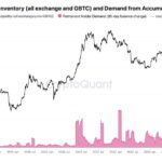 Bitcoin Whales Scoop 358,000 BTC As USDT Liquidity Spikes: Are Bulls Ready To Rumble?