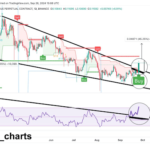 Why Did Dogecoin Rise 10% And The Shiba Inu Price Jumped 22%?