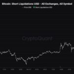 Massive Bitcoin Short Liquidations Send BTC Above ATH – Trump Win Sets A Bullish Environment