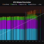 Bitcoin Whales Ramp Up Accumulation – Another Price Surge To Follow?