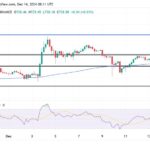 BNB Bulls Regain Momentum: Is A Break Past $800 Resistance Imminent?