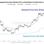 Bitcoin New Whales Entry Price Reveals Key Support Level – Analyst