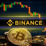 Here’s What Binance Whales Are Doing Amidst Market Chaos and BTC’s Surge
