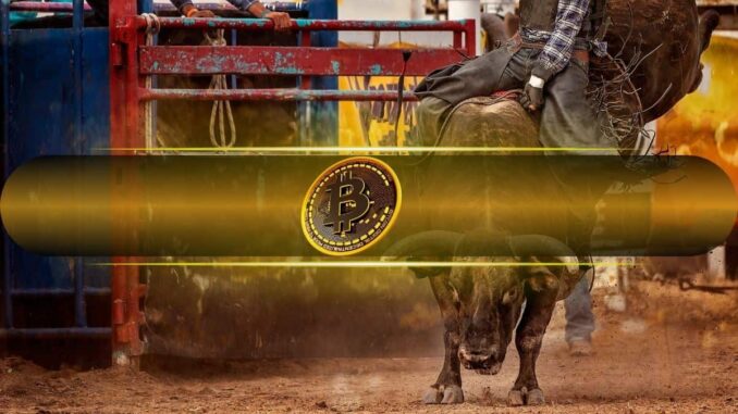 Bitcoin’s Current Bull Cycle Is Unlike Anything We’ve Seen Before