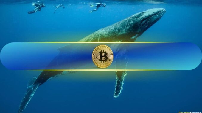 Here’s Why Market Flushouts and Whale Moves Could Set the Stage for Bitcoin’s Next Rally