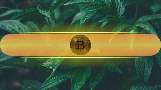 Rare Investor Alignment Emerges as Bitcoin (BTC) Rallies From Geopolitical Dip