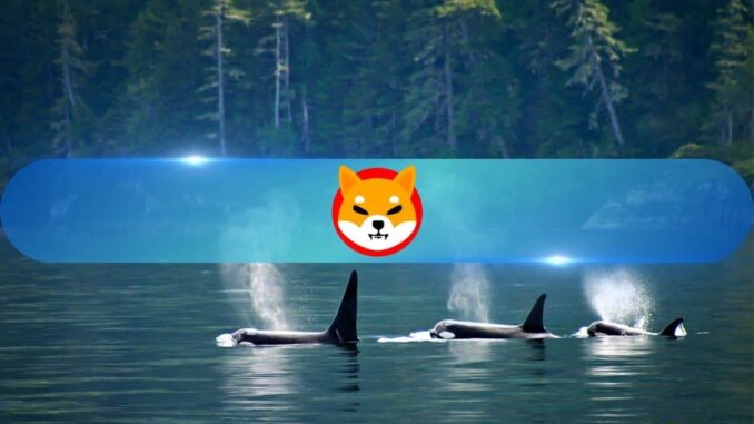 Shiba Inu (SHIB) Leads Whale Accumulation Wave Amidst Rising Geopolitical Tensions